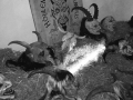 foto-3